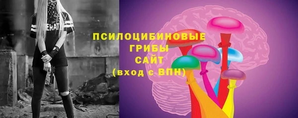 кокс Алексин