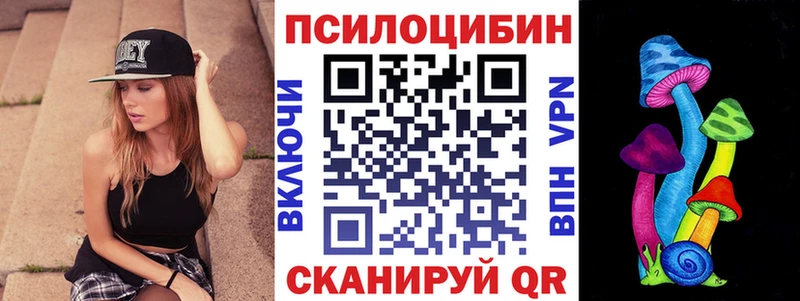 дарнет шоп Полтавская shop какой сайт Псилоцибиновые грибы Psilocybe OMG ССЫЛКА